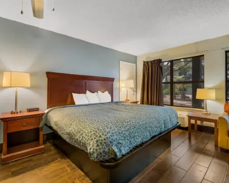 エコノ  ロッジ イン & スイーツ フルトン - ロックポート フルトンのホテル