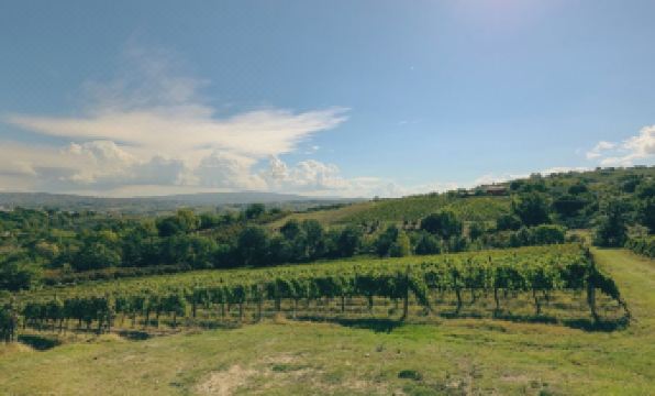 Agriturismo Casale 1921