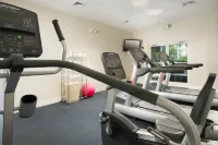 Holiday Inn MIAMI-DORAL AREA by IHG - Gym