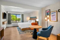 Hampton Inn by Hilton Addison Dallas - Gym