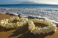 Diamond Head View Close to Waikiki Beach with Parking