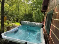 Cozy Log cabin tucked away in the Smokey Mountain, Pet friendly, Sauna, Hot Tub