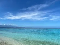 Bungalow Studio Jardin Vahia Hotels in Te'avaro