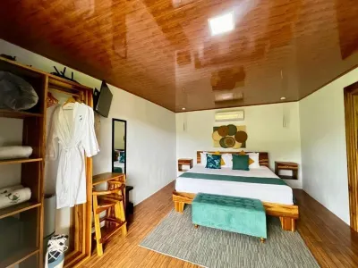 Villa Arenal 1 Hotels in 