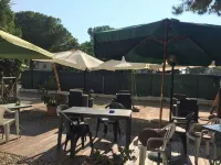 Alh Hotel Digitale - Airport Shuttle