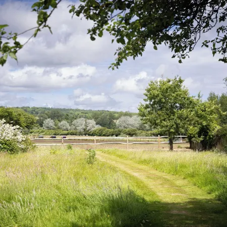 Ambersham House