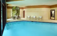Hilton Atlanta Northeast - Pools