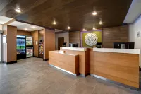大急流城懷俄明萬楓酒店及套房 - 停車場