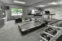 Fairfield Inn & Suites Frankenmuth - Gym