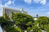 Caribe Hilton - Parkplatz