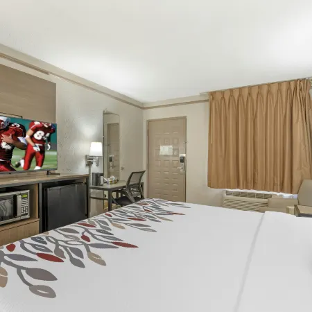 Red Roof Inn Tampa Bay - St. Petersburg