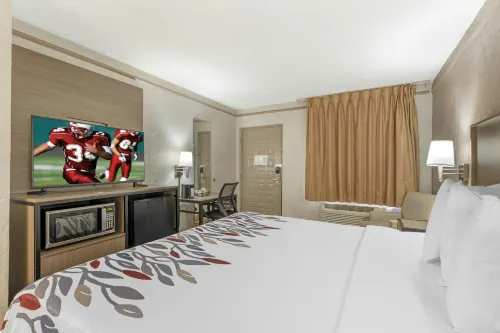 Red Roof Inn Tampa Bay - St. Petersburg - Motels