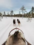 Ölrun Stuga - Homestays