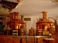 Hotel Wallhall Hotels in Bruchsal