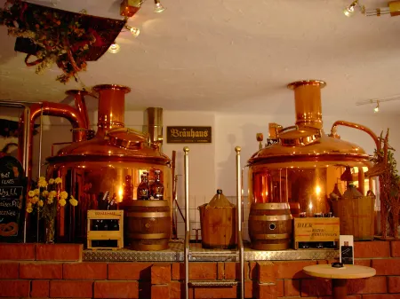 Hotel Wallhall Отели в г. Брухзаль