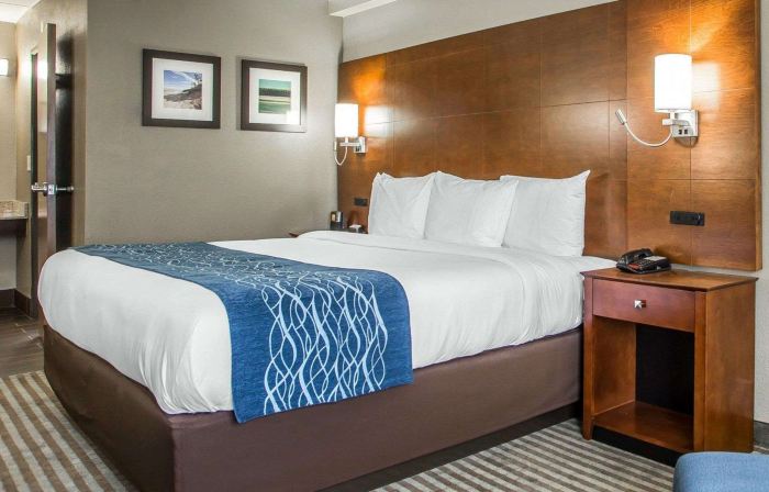 Comfort Inn Hammond I-94