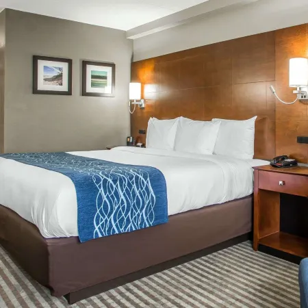 Comfort Inn Hammond I-94