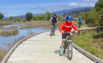 Tasman Bay Backpackers