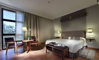 a hotel room with a large bed , a chair , and a television in the corner at Parador de Lorca