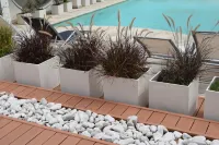 Hotel Solans Presidente
