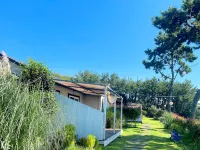 Wando Haegeum Pension