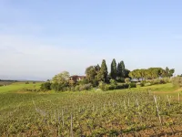 Campiglia