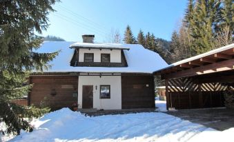 Very Spacious, Detached Holiday Home in Carinthia Near Skiing & Lakes