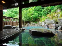 Yamabiko Ryokan - spa