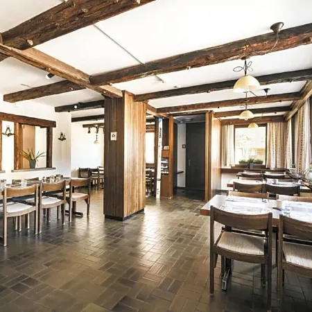 Hotel Alpina