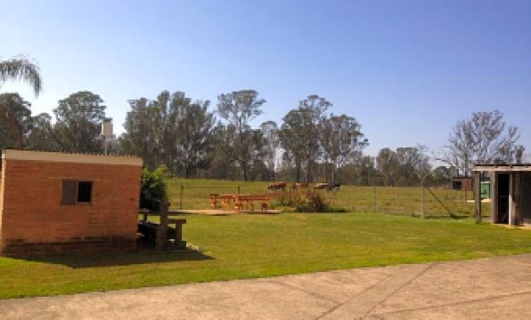 6. 알렉산더 더 그..