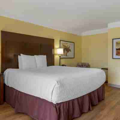 Best Western Phoenix Goodyear Inn Rooms