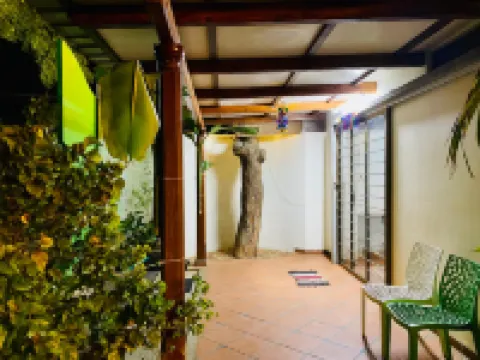 The Canopy Guest House