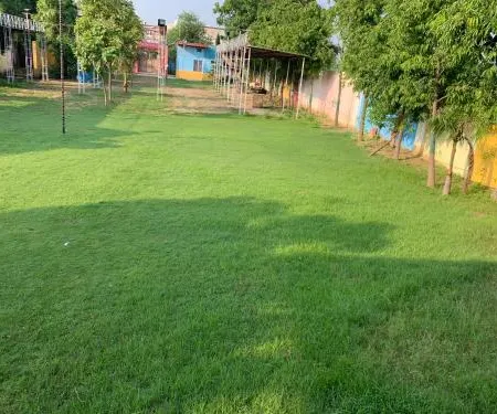 Nature Resort