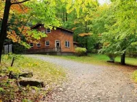 Cedarwood Lodge - Pet friendly