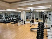 Kresten Palace Hotel - Gym