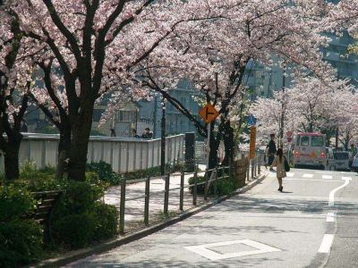 ホテル周辺 ニューオータニ イン東京の写真