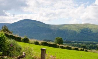 Ghyll Farm B & B