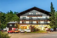 Schwarzwaldhotel Sonne - วิวภูเขา