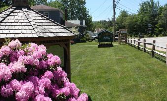 Mt Liberty Cabins and Motel