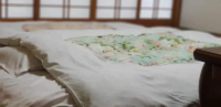 Yufuin Onsen Hasuwa Inn Hotels in Yufu