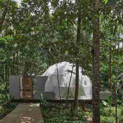Lintang Luku Tent Resort Ijen, Banyuwangi Hotel Exterior
