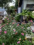 Zhangjiajie Ershidu Country House - Villas