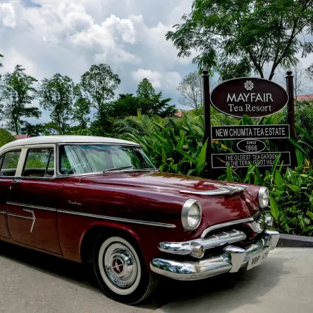 Mayfair Tea Resort