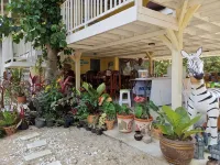 Three in Town Hotels in Khuan Khanun
