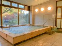Tsukinoyado Hotels in Naka