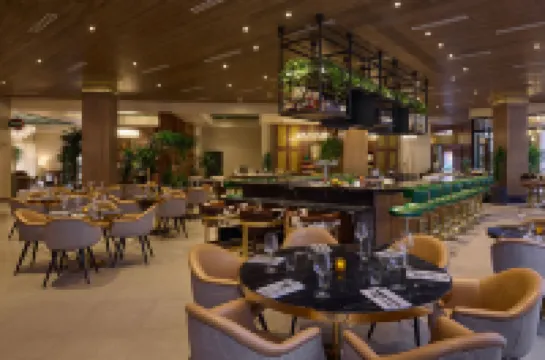 레오 켄트 호텔, 투산, 트리뷰트 포트폴리오 호텔