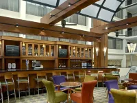 諾克斯維爾機場希爾頓飯店 - 酒吧