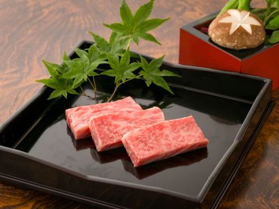 料理 美食と自家源泉を愉しむ静寂の宿　秘湯・鷹ノ巣温泉　鷹の巣館の写真