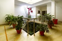 Hotel Shelton, Chandigarh