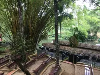 Rain Forest Ayur County Resort